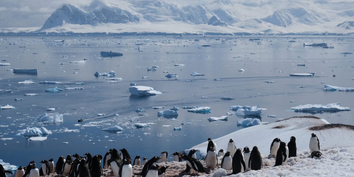 Oceanul Sudic și rolul sau esențial în schimbările climatice: Descoperiri recente asupra microbiomului maritim Oceanul Sudic, o vastă întindere înghețată și adâncă acoperind zona din jurul Antarcticii, joacă un rol fundamental în reglarea climatului global