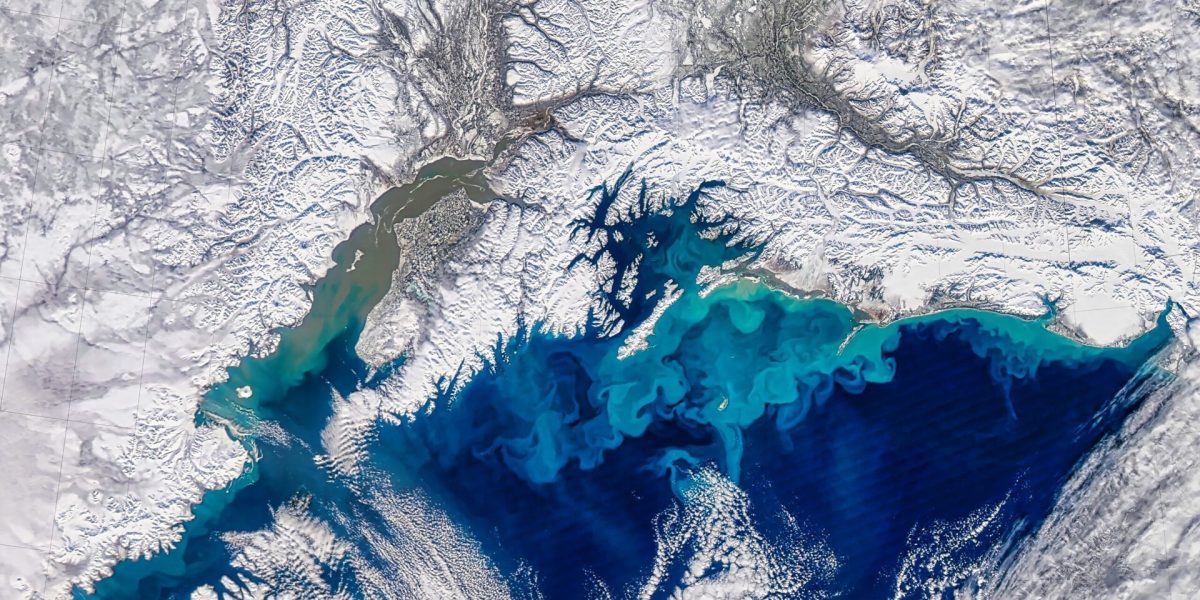 Un ghețar partolitic, considerat relativ mic de către standardele Antarcticii, a suferit o dezintegrare fulgerătoare care a șocat comunitatea științifică