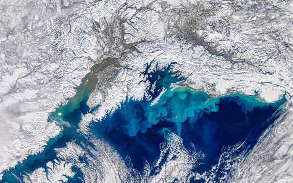 Un ghețar partolitic, considerat relativ mic de către standardele Antarcticii, a suferit o dezintegrare fulgerătoare care a șocat comunitatea științifică