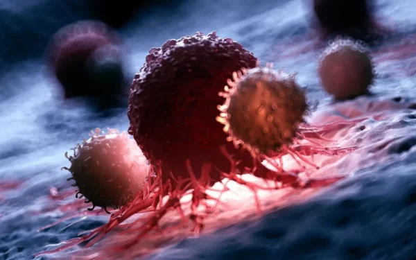 Descoperire revoluționară în lupta împotriva cancerului: o nouă cale de atac asupra celulelor tumorale Un pas major în tratamentul cancerului a fost făcut recent de echipa de cercetători a Universității din Lausanne, care a identificat un mecanism nevăzut până acum, ce poate reprezenta o veritabilă piatră de hotar în terapia oncologică