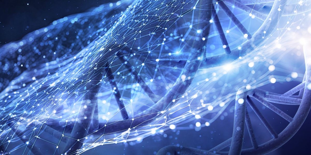 Descoperire revoluționară în biologia evoluției: ADN-ul ciudat din peștii ciclide accelerează diversificarea speciilor Unul dintre cele mai fascinante mistere ale biologiei moderne se referă la modul în care apar noile specii și de ce unele grupuri de viețuitoare evoluează atât de rapid