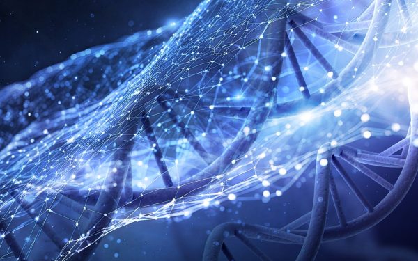Descoperire revoluționară în biologia evoluției: ADN-ul ciudat din peștii ciclide accelerează diversificarea speciilor Unul dintre cele mai fascinante mistere ale biologiei moderne se referă la modul în care apar noile specii și de ce unele grupuri de viețuitoare evoluează atât de rapid