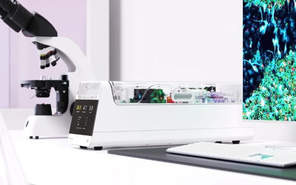 Celule cerebrale umane, conectate la un sistem digital, joacă primul lor joc video – un pas semnificativ spre combinarea inteligenței biologice cu tehnologia digitală Un experiment revoluționar în domeniul cercetării sistemelor hibride de calcul a demonstrat recent ce înseamnă integrarea reală a neuronilor umani vii în hardware digital