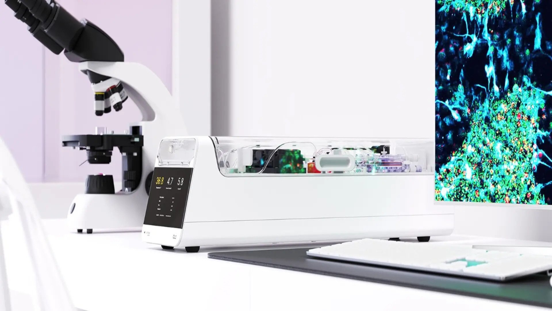 Celule cerebrale umane, conectate la un sistem digital, joacă primul lor joc video – un pas semnificativ spre combinarea inteligenței biologice cu tehnologia digitală Un experiment revoluționar în domeniul cercetării sistemelor hibride de calcul a demonstrat recent ce înseamnă integrarea reală a neuronilor umani vii în hardware digital