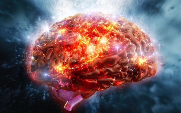 Cercetare revoluționară în lupta împotriva Alzheimer: primul atlas molecular complet al creierului afectat O descoperire esențială în domeniul neurologiei și al studiului bolii Alzheimer a fost făcută de cercetătorii de la Universitatea Rice