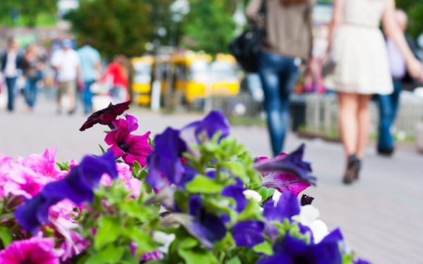 Primăvara începe cu temperaturi mai ridicate decât media sezonieră, dar cu un bilant pluviometric sub așteptări, conform ultimelor prognoze meteo pentru perioada 16 martie – 13 aprilie 2026