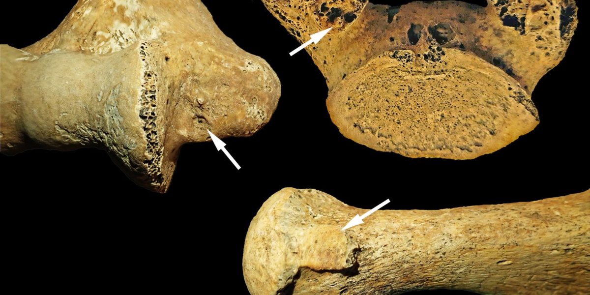 O descoperire arheologică remarcabilă schimbă perspectivele asupra societăților din Epoca de Piatră, demonstrând că rolurile de gen nu erau, întotdeauna, rigide și bine delimitate