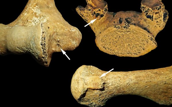 O descoperire arheologică remarcabilă schimbă perspectivele asupra societăților din Epoca de Piatră, demonstrând că rolurile de gen nu erau, întotdeauna, rigide și bine delimitate