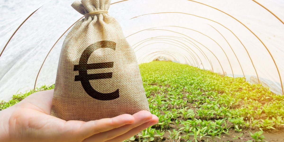 Fermierii români se pregătesc pentru schimbări semnificative în modul în care sunt verificati pentru eligibilitatea la subvențiile agricole din anul 2026