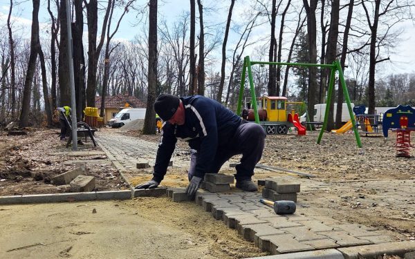 Primăria Sectorului 1 anunță o serie de proiecte de modernizare menite să îmbunătățească calitatea vieții locuitorilor și să valorifice frumusețea naturală a zonei din Pădurea Băneasa, în special pe Aleea Privighetorilor