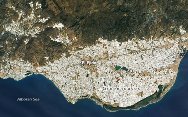 „Marea de Plastic” din Andaluzia, cea mai mare grădină de legume din Europa, hrănește jumătate de miliard de oameni Andaluzia, în sudul Spaniei, găzduiește ceea ce poate fi considerat cel mai mare și mai spectaculos proiect agricol de pe planetă: o vastă „Grădină de Legume” acoperită de sere de plastic, vizibilă chiar și din spațiu