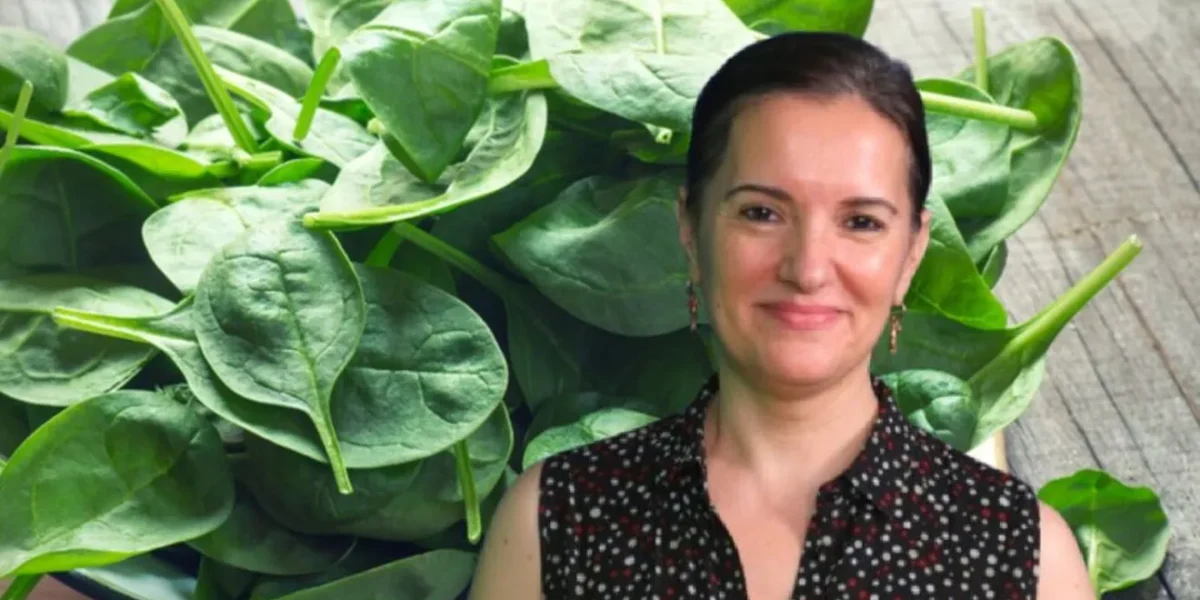Primăvara readuce pe piață un simbol al sănătății și al vitalității: plantele cu frunze verzi