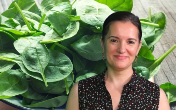 Primăvara readuce pe piață un simbol al sănătății și al vitalității: plantele cu frunze verzi