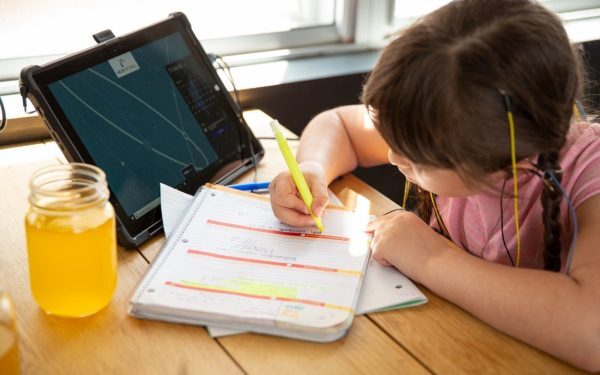 În fiecare clasă, există copii cu un potențial intelectual remarcabil, dar care se confruntă totuși cu dificultăți de învățare