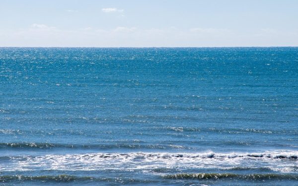 Cercul mortal al curenților oceanici: un semnal de alarmă despre viitorul climei globale Modificările remarcate ale Curentului Golfului pot indica începutul unui colaps periculos al Circulației Meridionale Atlanticice de Răsturnare (AMOC), un sistem crucial pentru menținerea echilibrului climatic al planetei