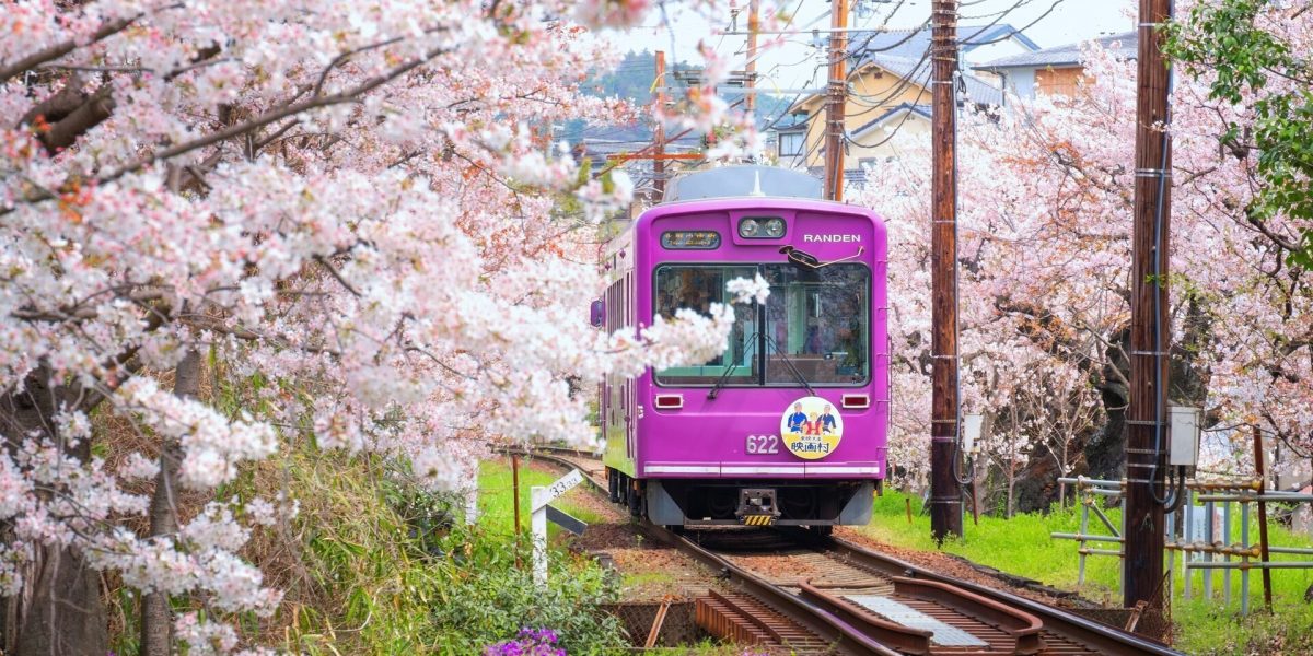 Kyoto, orașul care a fost desemnat unul dintre cele mai prietenoase destinații din lume, a decis recent să crească acciza turistică, ca răspuns la aglomerația tot mai mare și la eforturile de protejare a patrimoniului său cultural