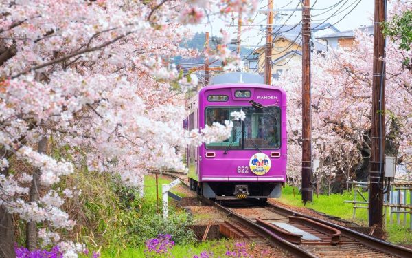 Kyoto, orașul care a fost desemnat unul dintre cele mai prietenoase destinații din lume, a decis recent să crească acciza turistică, ca răspuns la aglomerația tot mai mare și la eforturile de protejare a patrimoniului său cultural