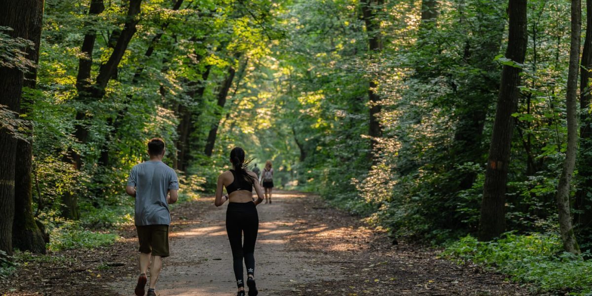 Inițiativa de protejare a Pădurii Băneasa, o necesitate urgentă pentru biodiversitate și calitatea aerului din Nordul Capitalei Într-o perioadă în care urbanizarea accelerate afectează tot mai mult mediul natural, o nouă inițiativă încearcă să oprească declinul uneia dintre cele mai speciale zone verzi din nordul Bucureștiului