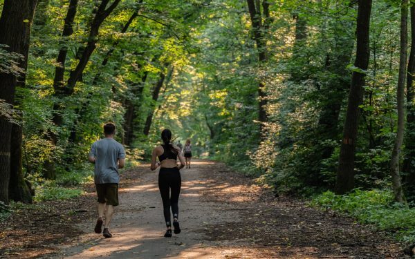 Inițiativa de protejare a Pădurii Băneasa, o necesitate urgentă pentru biodiversitate și calitatea aerului din Nordul Capitalei Într-o perioadă în care urbanizarea accelerate afectează tot mai mult mediul natural, o nouă inițiativă încearcă să oprească declinul uneia dintre cele mai speciale zone verzi din nordul Bucureștiului