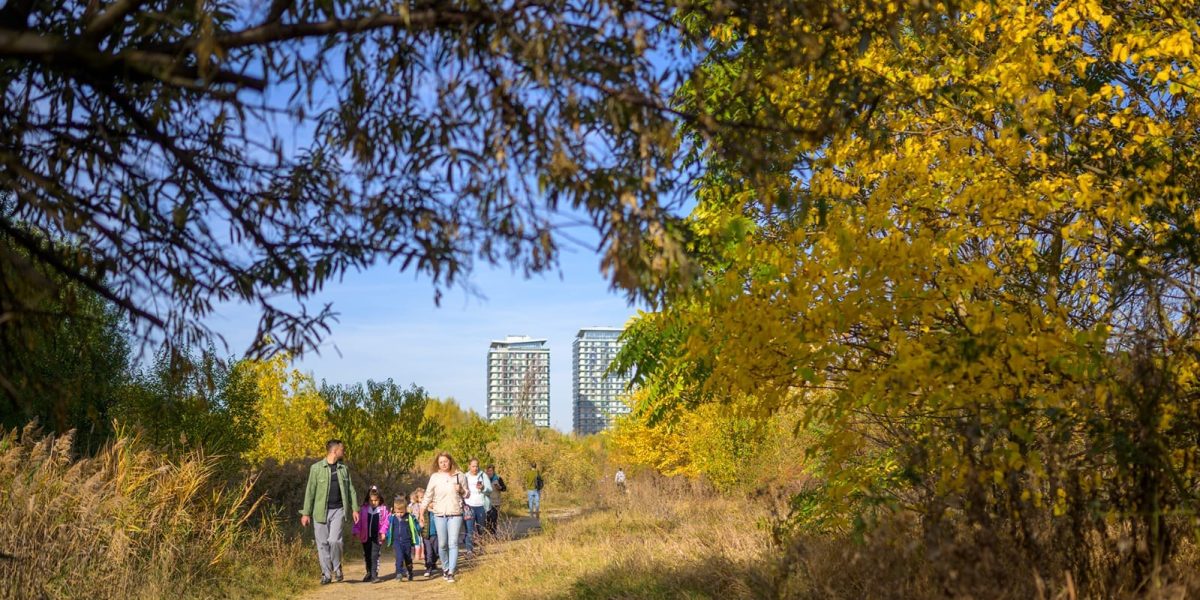 Parcul Natural București încurajează educația ecologică prin ghiduri și activități practice pentru școli Parcul Natural București (APNB) a lansat recent un ghid menit să stimuleze implicarea școlilor în conservarea și înțelegera mediului