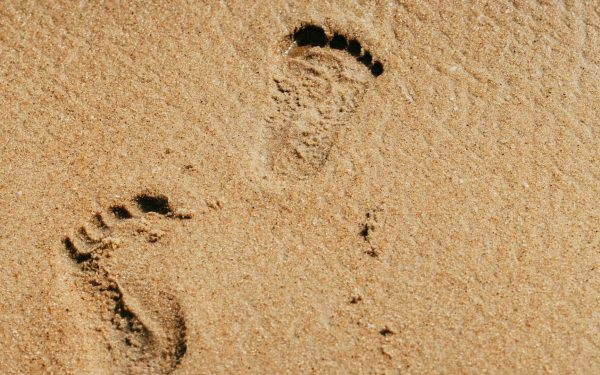 Licitațiile pentru plajele românești, mai transparente și incluzive decât oricând Măsuri radicale în domeniul concesionării plajelor din România ar putea schimba fundamental modul în care se desfășoară aceste proceduri, atrăgând mai mulți operatori economici și, implicit, sporind transparența și competitivitatea