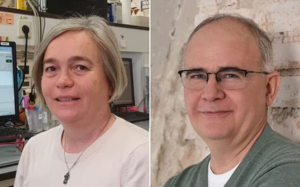 Într-un gest de recunoaștere a excelenței în cercetare, Comitetul Prezidențial pentru Știința Maghiară din Străinătate al Academiei Maghiare de Științe a anunțat laureații ediției din acest an ai premiilor Arany Janos și Medalie Arany Janos