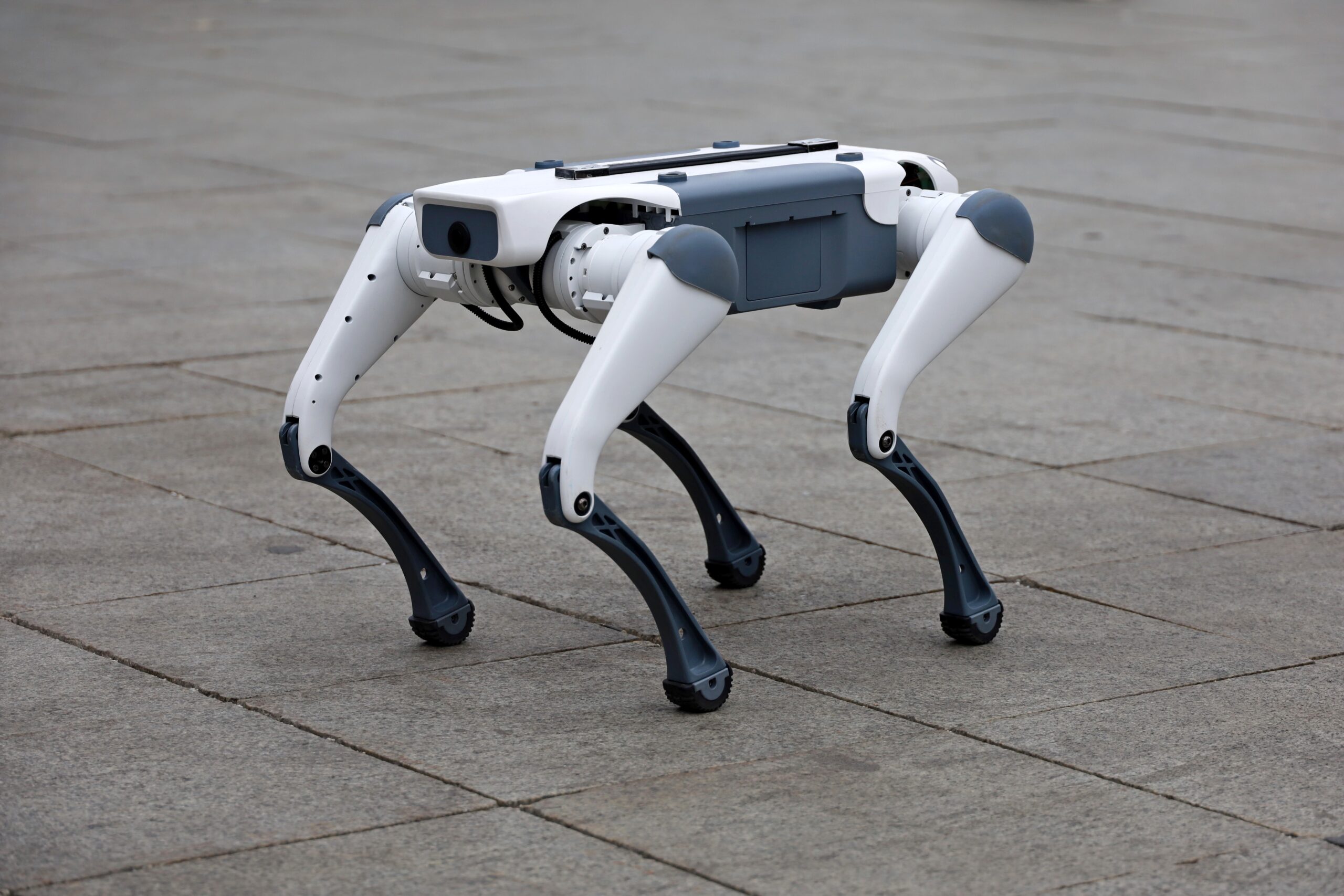 Târgu Mureș devine primul oraș din țară în care tehnologia avansată se întâlnește cu gestionarea semnalizării ecologice Orașul Târgu Mureș face pași în față în domeniul digitalizării serviciilor publice, prin implementarea unui program pilot inovator de salubrizare