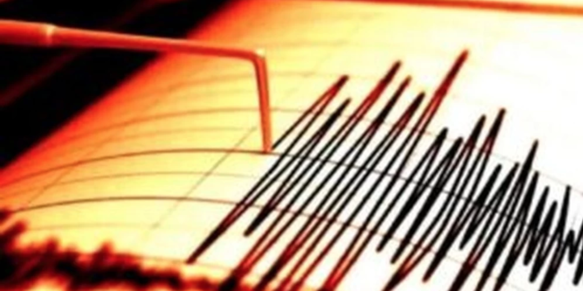 Pe 4 martie 1977, România a fost zguduită de unul dintre cele mai devastatoare cutremure din istoria sa recentă, o tragedie ce a lăsat în urmă peste 1.500 de morți și mii de răniți, precum și pagube materiale fără precedent