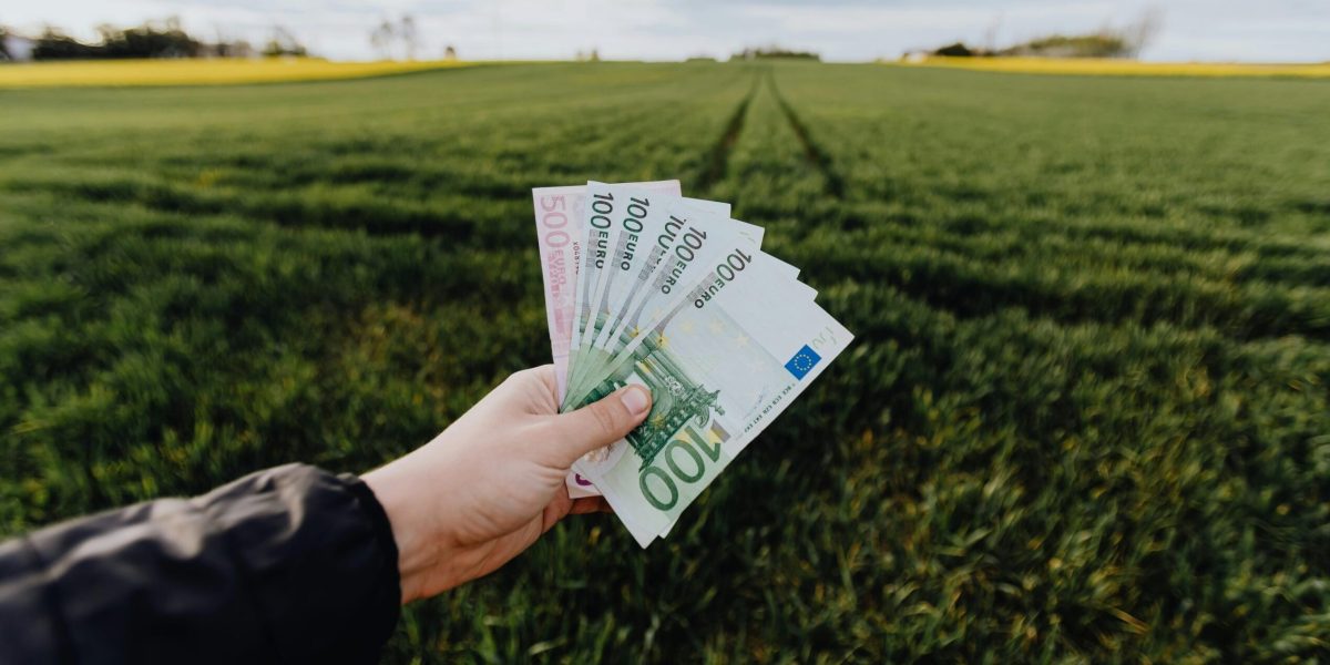 Fermierii din România așteaptă cu speranță și nervi întinși plata ecoschemei PD-28, o măsură coercitivă menită să susțină agricultura durabilă și conservarea peisajului rural