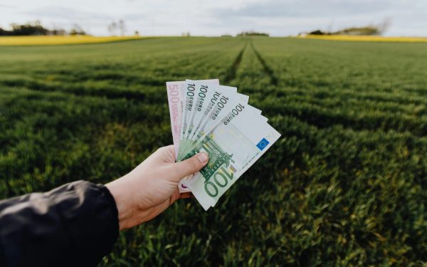 Fermierii din România așteaptă cu speranță și nervi întinși plata ecoschemei PD-28, o măsură coercitivă menită să susțină agricultura durabilă și conservarea peisajului rural
