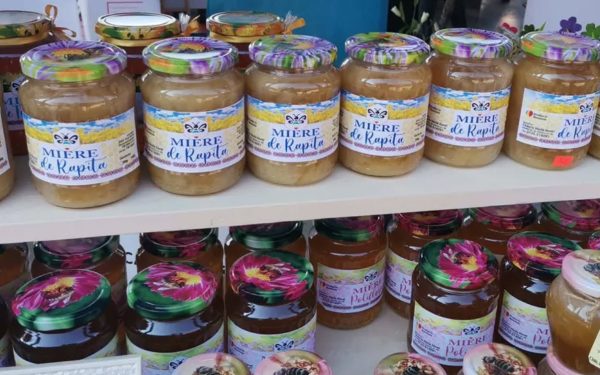 Ghiroda devine, în acest weekend, centrul apiculturii din vestul României, odată cu desfășurarea celei de-a XV-a ediții a Târgului Apicol Internațional de Primăvară