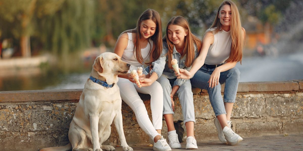 România se confruntă, paradoxal, cu o realitate demografică surprinzătoare chiar înainte de a fi marcată de celebraziile de 8 martie