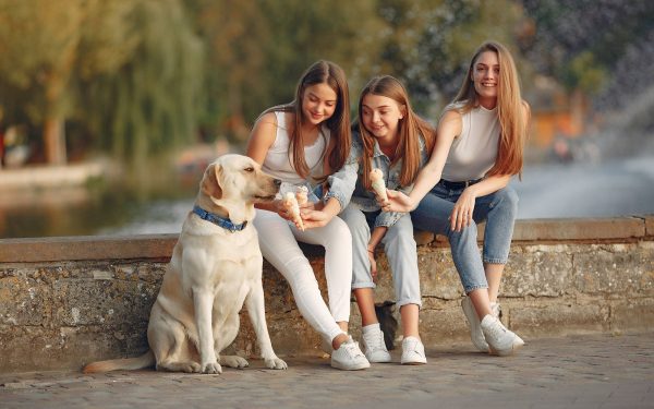 România se confruntă, paradoxal, cu o realitate demografică surprinzătoare chiar înainte de a fi marcată de celebraziile de 8 martie