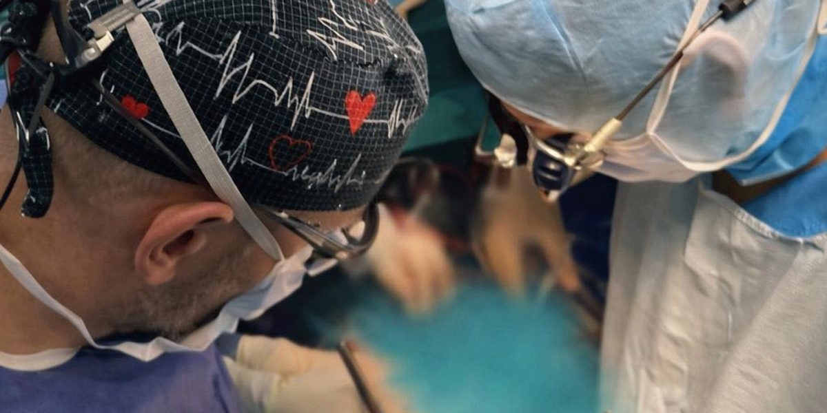 Doi donatori, zeci de pacienți salvați – intervenții de prelevare de organe în Craiova și Satu Mare aduc speranță în sistemul de transplant din România O serie de intervenții de prelevare de organe au avut loc joi noaptea în două spitale din România, reprezentând pași importanți în consolidarea campaniei naționale de transplant