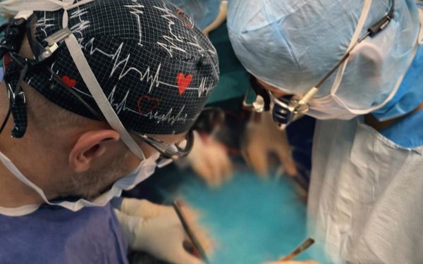 Doi donatori, zeci de pacienți salvați – intervenții de prelevare de organe în Craiova și Satu Mare aduc speranță în sistemul de transplant din România O serie de intervenții de prelevare de organe au avut loc joi noaptea în două spitale din România, reprezentând pași importanți în consolidarea campaniei naționale de transplant