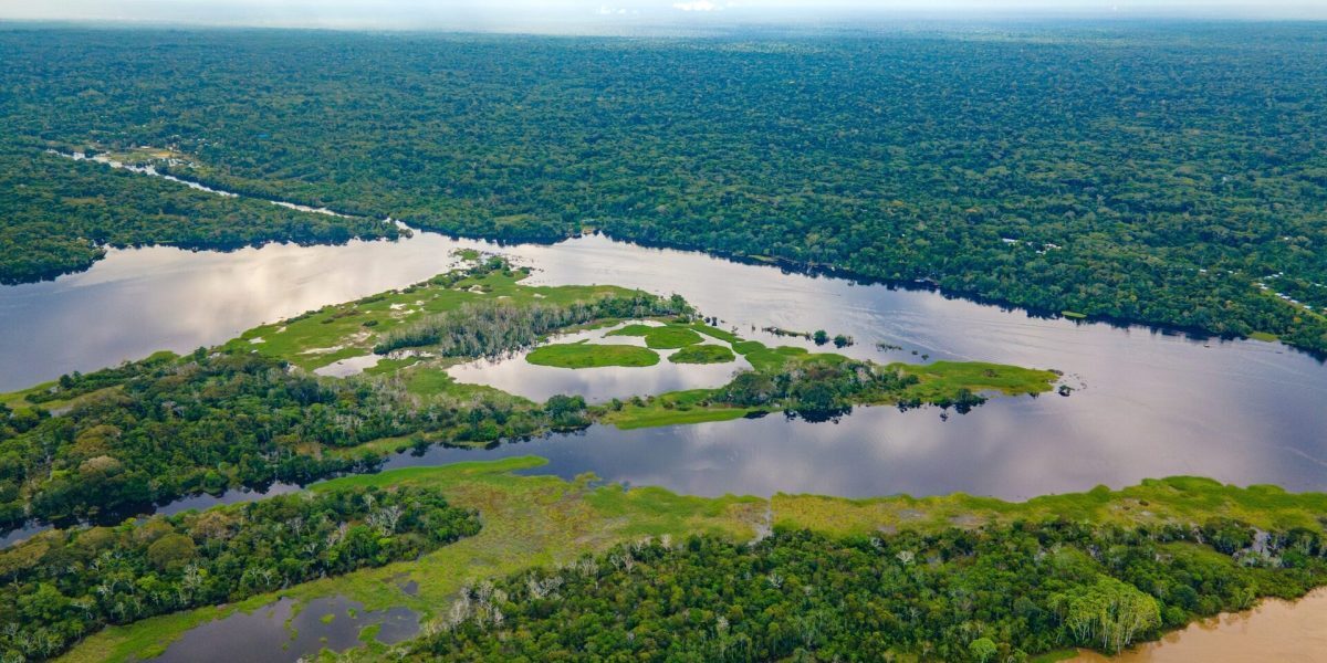 O speranță neașteptată pentru tribul Akuntsu, în ultimul colț de pădure tropicală amazoniană O veste care aduce lumină într-un peisaj dezastruos: pentru prima dată în decenii, tribul Akuntsu, unul dintre cele mai vulnerabile și mai puțin cunoscute popoare indigene ale Amazonului, are o șansă reală de a se reintra în istorie