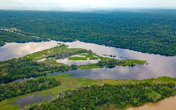 O speranță neașteptată pentru tribul Akuntsu, în ultimul colț de pădure tropicală amazoniană O veste care aduce lumină într-un peisaj dezastruos: pentru prima dată în decenii, tribul Akuntsu, unul dintre cele mai vulnerabile și mai puțin cunoscute popoare indigene ale Amazonului, are o șansă reală de a se reintra în istorie