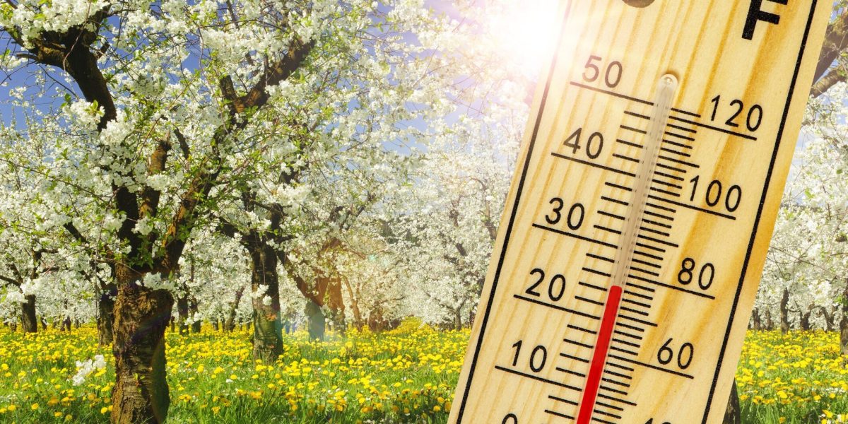 Vremea de weekend aduce temperaturi peste normalul perioadei, conform previziunilor actualizate ale Administrației Naționale de Meteorologie (ANM)