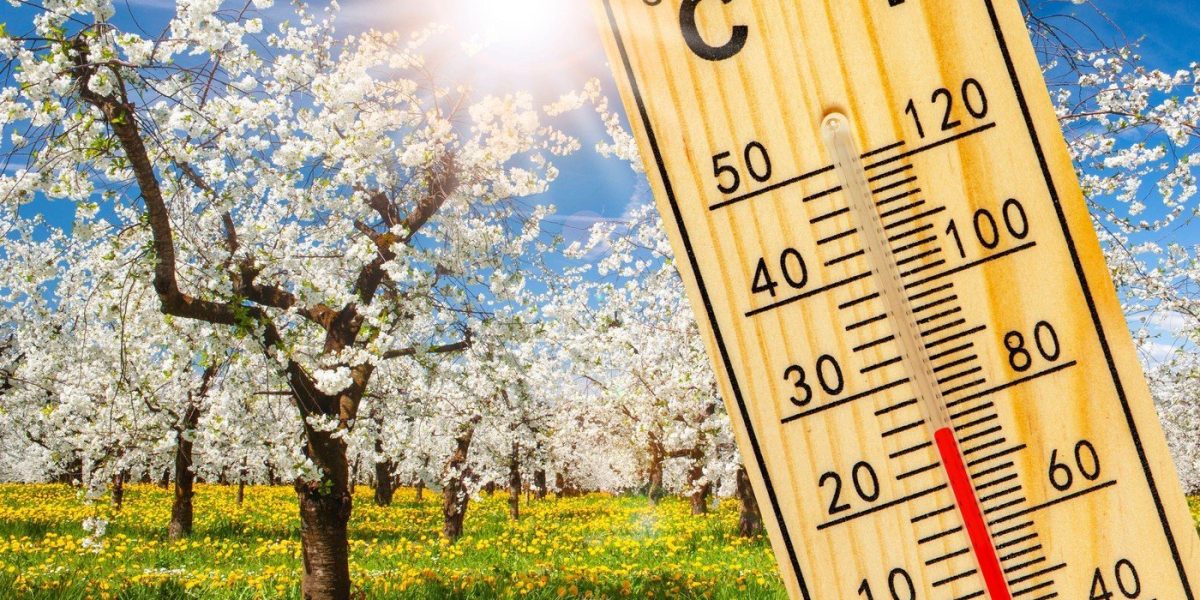 Vremea de Florii și Paște aduce schimbări neașteptate: temperaturi în creștere, dar și ploi frecvente ce pot perturba planurile de vacanță Primăvara își face simțită prezența în aceste zile în majoritatea regiunilor din România, iar temperaturile încep să urce treptat, semn că sezonul cald se apropie cu pași rapizi