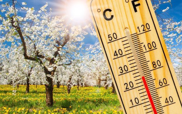 Vremea de Florii și Paște aduce schimbări neașteptate: temperaturi în creștere, dar și ploi frecvente ce pot perturba planurile de vacanță Primăvara își face simțită prezența în aceste zile în majoritatea regiunilor din România, iar temperaturile încep să urce treptat, semn că sezonul cald se apropie cu pași rapizi