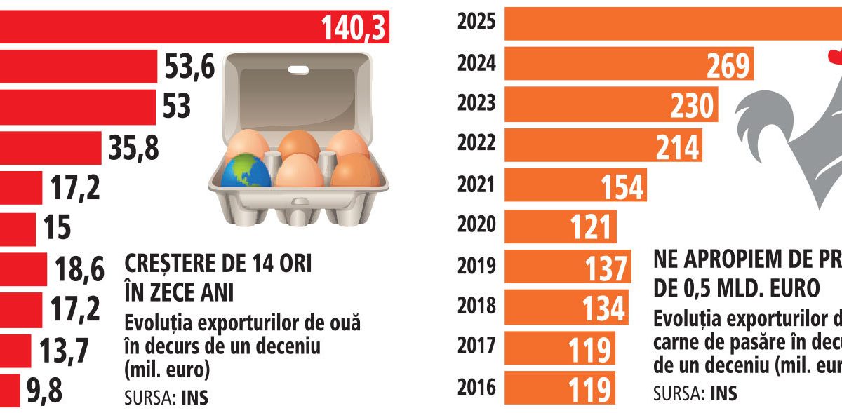 România, țara fermelor de păsări: Exporturi record de carne și ouă, peste jumătate de miliard de euro