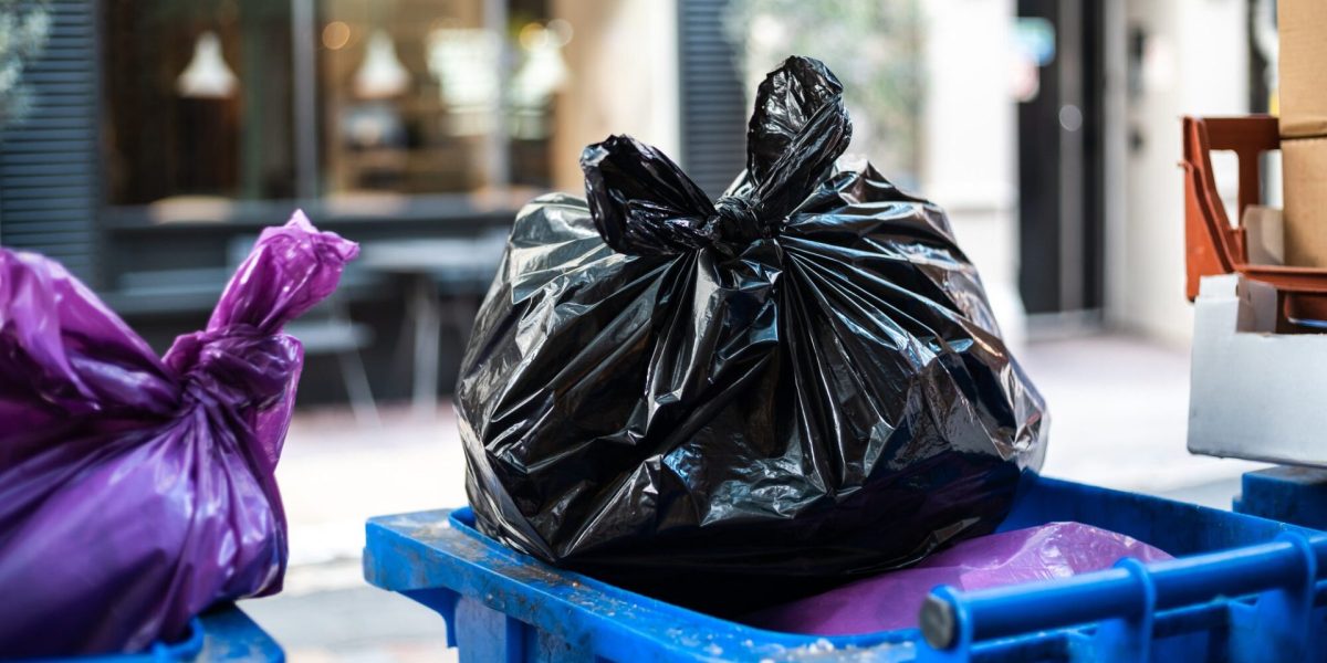 Sectorul 2: Scapă GRATUIT de deșeuri! Ghid practic pentru bucureșteni