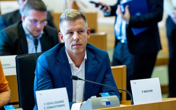 Magyar, ucenicul lui Orban, îl învinge zdrobitor: De la afișul cu Viktor la succesul electoral