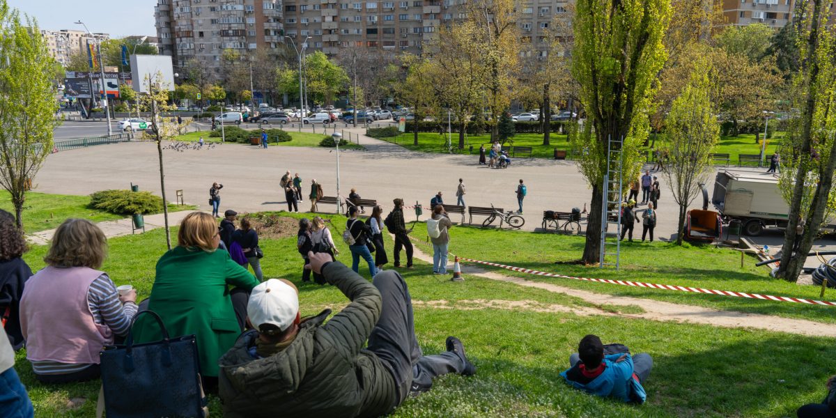 Arborii din Parcul Tineretului, în pericol: Cum salvează specialiștii plopii vechi din București