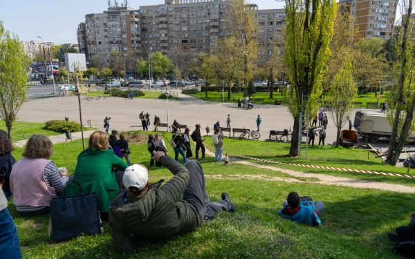 Arborii din Parcul Tineretului, în pericol: Cum salvează specialiștii plopii vechi din București