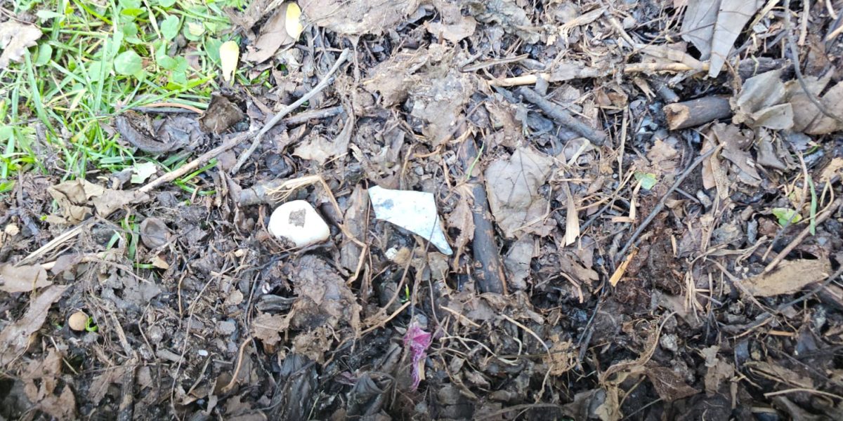 Deșeurile din compostarea gratuită din Sectorul 3 ridică probleme de salubritate Primăria Sectorului 3 a început recent distribuirea gratuită de compost pentru grădinile blocurilor, însă cetățenii reclamă prezența deșeurilor neobișnuite în amestecul distribuit