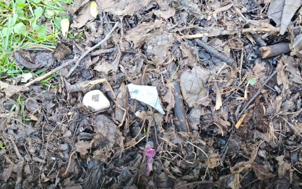 Deșeurile din compostarea gratuită din Sectorul 3 ridică probleme de salubritate Primăria Sectorului 3 a început recent distribuirea gratuită de compost pentru grădinile blocurilor, însă cetățenii reclamă prezența deșeurilor neobișnuite în amestecul distribuit