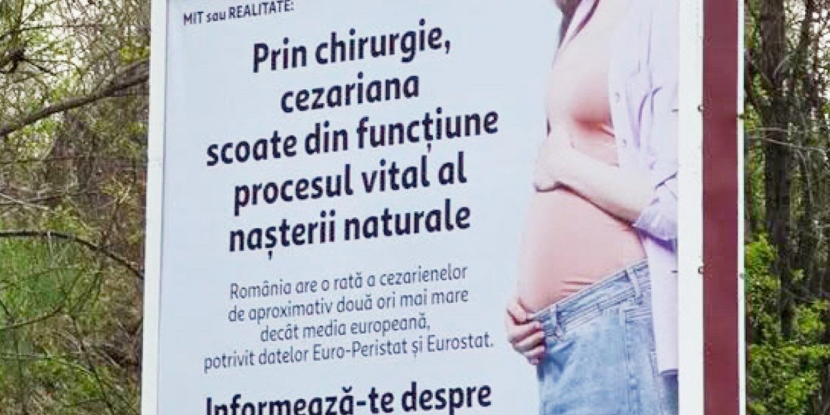 În 2026, România e șocată: Senatoarea Păun cere măsuri urgente după panouri controversate