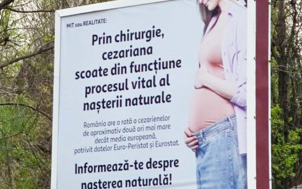 În 2026, România e șocată: Senatoarea Păun cere măsuri urgente după panouri controversate