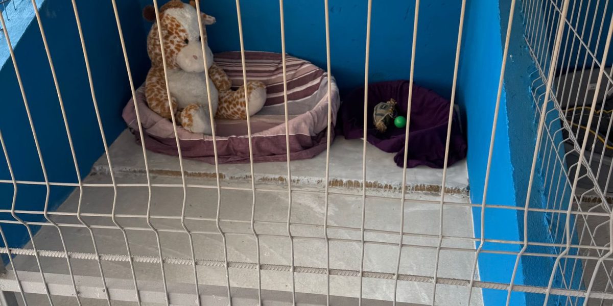 Centru public de adopții pentru căței, inaugurat în județul Ilfov